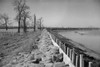 Tennessee: Levee, 1937. /Nthe Bessie Levee Lined With Sandbags Along A Subsidiary Of The Mississippi River, Near Tiptonville, Tennessee. Photograph By Walker Evans, February 1937. Poster Print by Granger Collection - Item # VARGRC0325581