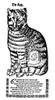Cat. /Nwoodcut, German, Late 16Th Century. Poster Print by Granger Collection - Item # VARGRC0082080