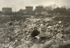 Hine: Garbage Dump, 1912. /Nchildren In A Dump In Rhode Island. Photograph By Lewis Wickes Hine, 1912. Poster Print by Granger Collection - Item # VARGRC0268283