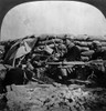 World War I: French Trench. /Nalert French Soldiers In A Trench In Northern France, During World War I. Stereograph, 1914-1918. Poster Print by Granger Collection - Item # VARGRC0325655