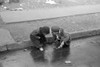 New York: Children, 1936. /Nchildren Playing In The Gutter On 139Th Street In The Bronx, New York City. Photograph By Russell Lee, 1936. Poster Print by Granger Collection - Item # VARGRC0322259