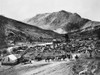 Colorado: Cimarron, C1905. /Na Herd Of Cattle At A Ranch In Cimarron, Colorado. Photograph, C1905. Poster Print by Granger Collection - Item # VARGRC0259440