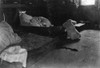 Family Room, 1909. /Ninterior Of A Family Room In The Upper Floor Of One Of The Berry-Pickers Shacks On Bottomley'S Farm, Near Baltimore, Maryland. Photograph By Lewis Hine, July 1909. Poster Print by Granger Collection - Item # VARGRC0106687