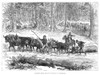 Mining Camp: Logs, 1880. /Noxen Hauling Logs For Building Huts At A Mining Camp In Colorado. Wood Engraving, English, 1880. Poster Print by Granger Collection - Item # VARGRC0266335