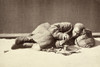 China: Opium Smoker, C1865. /Nphotographed C1865-1872. Poster Print by Granger Collection - Item # VARGRC0108948