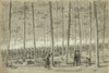 Civil War: Union Army, 1864. /Nunion Troops Fighting With Spencer Rifles During The Battle Of Darbytown Road In Virginia. Drawing By William Waud, 9 October 1864. Poster Print by Granger Collection - Item # VARGRC0407816