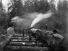 Washington: Lumberjacks. /Nlumberjacks With Huge Cedar And Fir Logs Using A Steam Railroad To Move The Heavy Load, Washington State. Photographed By T.M. Kelso. In 1902. Poster Print by Granger Collection - Item # VARGRC0120067