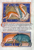 Griffin And Two Boars. /Nillumination From A 12Th Century English Latin Bestiary. Poster Print by Granger Collection - Item # VARGRC0026265
