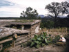 Dugout And Garden, 1940. /Njack Whinery'S Dugout Home And Garden In Pie Town, New Mexico. Photograph By Russell Lee, 1940. Poster Print by Granger Collection - Item # VARGRC0352028