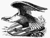 Eagle, 19Th Century. /Namerican Typefounder'S Cut, 19Th Century. Poster Print by Granger Collection - Item # VARGRC0077135