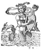 Siren. /Nwoodcut, German, 1599. Poster Print by Granger Collection - Item # VARGRC0077791
