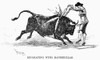 Spain: Bullfighting, 1891. /Ndecorating With Banderillas At Madrid, Spain. Line Drawing, 1891. Poster Print by Granger Collection - Item # VARGRC0080274