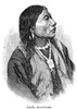 Ute Chief, 1879. /Njack, Sub-Chief Of The White River Ute. Wood Engraving, American, 1879. Poster Print by Granger Collection - Item # VARGRC0018323