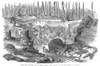 Canada: Copper Mine, 1860. /Ncopper Mine Near Montreal, Canada. Wood Engraving, English, 1860. Poster Print by Granger Collection - Item # VARGRC0096384