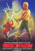 Ninja Dragon Movie Poster (11 x 17) - Item # MOV227964