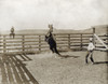 Texas: Cowboy, C1907. /Na Cowboy Breaking A Horse In A Corral On The Ls Ranch In Texas. Photograph By Erwin Evans Smith, C1907. Poster Print by Granger Collection - Item # VARGRC0124920