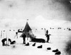 Roald Amundsen (1872-1928). /Nnorwegian Polar Explorer. Camp Of Amundsen And Crew Photographed During An Antarctic Expedition, 23 May 1912. Poster Print by Granger Collection - Item # VARGRC0175557