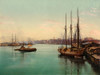 Savannah River, C1900. /Nthe Savannah River In Georgia. Photochrome, C1900. Poster Print by Granger Collection - Item # VARGRC0186384