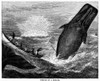 Whaling, 19Th Century. /N'Stuck On A Breach.' Wood Engraving, American, Late 19Th Century. Poster Print by Granger Collection - Item # VARGRC0101726