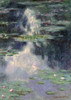 Monet: Water Lilies, 1907. /N'Pond With Water Lilies.' Oil On Canvas, Claude Monet, 1907. Poster Print by Granger Collection - Item # VARGRC0433691