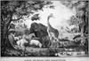 Adam Naming Creatures. /Nlithograph, 1847, By Nathaniel Currier. Poster Print by Granger Collection - Item # VARGRC0005371