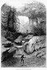 West Virginia: Blackwater. /Nfalls Of The Blackwater River In West Virginia. Wood Engraving, American, Late 19Th Century. Poster Print by Granger Collection - Item # VARGRC0098875