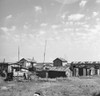Oregon: Shacks, 1936. /Nsquatters' Shacks Along The Willamette River In Portland, Oregon. Photograph By Arthur Rothstein, July 1936. Poster Print by Granger Collection - Item # VARGRC0107214