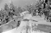 Vermont: Mount Mansfield. /Nthe Top Of Mount Mansfield At Smuggler'S Notch Near Stowe, Vermont. Photograph By Marion Post Wolcott, C1939. Poster Print by Granger Collection - Item # VARGRC0326724