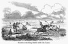 Argentina: Gauchos, 1853. /Ngauchos Catching Cattle On The Argentine Pampas. Wood Engraving, American, 1853. Poster Print by Granger Collection - Item # VARGRC0103180