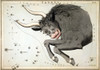 Constellation: Taurus. /Nfiguration Of The Constellation Taurus (Bull). Line Engraving By Sidney Hall From 'Urania'S Mirror,' London, 1825. Poster Print by Granger Collection - Item # VARGRC0120433