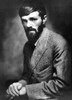 David Herbert Lawrence./N(1885-1930). English Writer. Photographed In The 1920S By Nickolas Muray. Poster Print by Granger Collection - Item # VARGRC0006440
