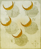 Phases of an eclipse Poster Print by Science Source - Item # VARSCIBQ4662