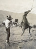 Texas: Cowboy, C1910. /Na Cowboy Holding A Rope Around The Neck Of A Bucking Bronco On A Ranch In Texas. Photograph By Erwin Evans Smith, C1910. Poster Print by Granger Collection - Item # VARGRC0124949