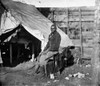 Civil War: Union Servant. /Njohn Henry, A Servant In The 3Rd Army Corps Of The Army Of The Potomac, Photographed In Camp Near Bealeton, Virginia, October 1863. Poster Print by Granger Collection - Item # VARGRC0163503