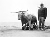 Paul Bunyan. /Nthe Legendary Lumberjack Of The American Northwest. The Statue Of Paul Bunyan And His Blue Ox, Babe, At Bemidji, Minnesota. Photographed By John Vachon, September 1939. Poster Print by Granger Collection - Item # VARGRC0031196