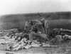 World War I: Artillery,/Nc1917. Artillery Shell Being Discharged From A Heavy Gun. Photograph, 1917 Or 1918. Poster Print by Granger Collection - Item # VARGRC0620206