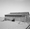 Oklahoma: Farmhouse, 1936. /Nthe Roof Of The Barn Was Removed To Make A Windbreak For A Garden At A Farm In Cimarron County, Oklahoma. Photograph By Arthur Rothstein, 1936. Poster Print by Granger Collection - Item # VARGRC0350529