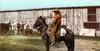 Cowboy, C1900. /Na Cowboy On Horseback Throwing A Lariat At Cattle On A Ranch In Western America. Photochrome, C1900. Poster Print by Granger Collection - Item # VARGRC0124967