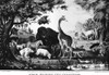 Currier: Adam. /N'Adam Naming The Creatures.' American Lithograph By Nathaniel Currier, 1847. Poster Print by Granger Collection - Item # VARGRC0118286