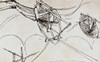 Leonardo Da Vinci. /Nplan For Manually-Operated Flying Machine. Poster Print by Granger Collection - Item # VARGRC0023366