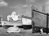 Mykonos: Harbor. /Na Pelican And A Cat Rest Among Boats At A Harbor On The Island Of Mykonos, In The Cyclades, Greece. Photograph By John Van Rolleghem, Mid 20Th Century. Poster Print by Granger Collection - Item # VARGRC0173198