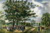 George Fox (1624-1691). /Npreaching The Quaker Gospel Under The Oak Trees Of Flushing, New York. Color Lithograph, C1819. Poster Print by Granger Collection - Item # VARGRC0008109