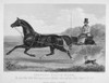 Horse Racing, C1850. /Nsteel Engraving, American, C1850. Poster Print by Granger Collection - Item # VARGRC0097817