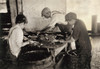 Hine: Child Labor, 1911. /Nthree Young Workers Cutting Sardines With Large Sharp Knives At The Seacoast Canning Co. In Eastport, Maine. Photograph By Lewis Hine, August 1911. Poster Print by Granger Collection - Item # VARGRC0167319