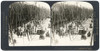 Spain: Barcelona, C1908. /N'Overlooking The Rambla - A Favorite Promenade And An Important Business Street, Barcelona, Spain.' Stereograph, C1908. Poster Print by Granger Collection - Item # VARGRC0323555