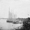 Civil War: Supply Vessels. /Nview Down River With Supply Vessels, White House Landing, Virginia. Photograph, 1862. Poster Print by Granger Collection - Item # VARGRC0409106