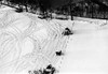 World War Ii: U.S. Tanks. /Namerican Tanks In The Malmedy Area North Of The Formerly German-Held 'Belgium Bulge,' January 1945. Poster Print by Granger Collection - Item # VARGRC0036356