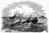 New Bedford Whaler. /Na Boat From A New Bedford Whaler Harpooning A Whale. Wood Engraving, American, Late 19Th Century. Poster Print by Granger Collection - Item # VARGRC0101863