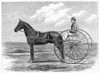 Trotting Horse, 1867. /Nthe Fast Trotting Horse Ethan Allen. Wood Engraving, 1867. Poster Print by Granger Collection - Item # VARGRC0097820