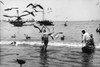 Ecuador, C1968. /Nfishermen On A Beach And In Boats In Ecuador. Photograph, C1968. Poster Print by Granger Collection - Item # VARGRC0176510